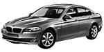 BMW F10 P041A Fault Code